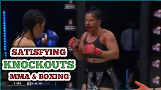 Top 30 Satisfying Knockouts In MMA amp Boxing Of 2023  2024 [upl. by Jeffery835]