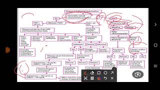 how to deal with case of primary amenorrhia [upl. by Emoreg355]