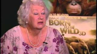 quotBorn to Be Wild 3Dquot Interview with Dr Dame Daphne Sheldrick [upl. by Jaffe]