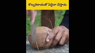 Ethadu coconut ni ala cheysadu telugu facts amazingfacts [upl. by Izaak]