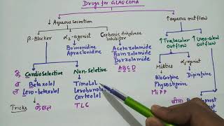 Classification of Glaucoma Drugs [upl. by Reteip]