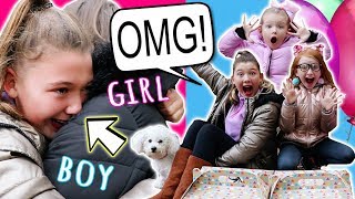 OUR SPECIAL SURPRISE BABY GENDER REVEAL  EMOTIONAL [upl. by Northey867]