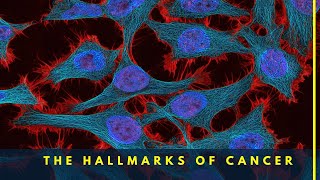 Hallmarks of Cancer The Secret Traits That Make It Invincible [upl. by Bonina]