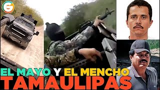 El Mayo y El Mencho Tamaulipas [upl. by Villiers]