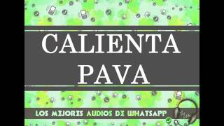 CALIENTA PAVA Audios de WhatsApp Los Mejores Audios de Whatsapp en la Web [upl. by Gretna]