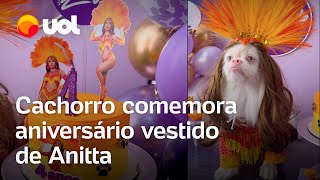 Cão tem festa de aniversário com tema Ensaios da Anitta e roupa igual a da cantora veja vídeo [upl. by Dixon]