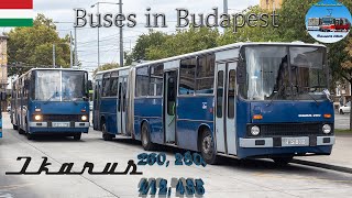 Ikarus Buses in Budapest 🇭🇺  IK 260 280 412 amp 435🚌2022 [upl. by Owain]