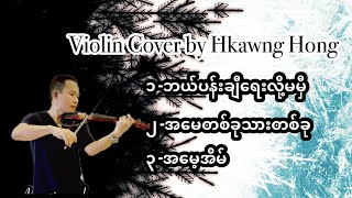 ဘယ်ပန်းချီရေးလို့မမှီအမေတစ်ခုသားတစ်ခုအမေ့အိမ်Mothers day songs violin cover musicMyanmar songs [upl. by Onyx]