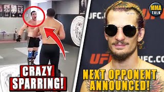 Sean Strickland posts INTENSE SPARRING footage OMalleys next opponent ANNOUNCED HookerMakhachev [upl. by Bocock]