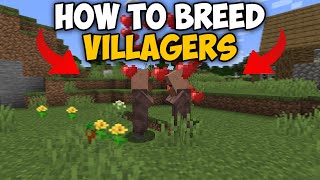 Minecraft Infinite Villager Breeder Tutorial  Easiest amp Best Design [upl. by Queena]