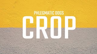 Phlegmatic Dogs  Crop [upl. by Ecissej49]