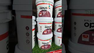 Birla Opus Acrylic Distemper paint shorts paintwalldecor [upl. by Nirel]