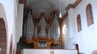 SaintSaens Improvisation Nr7 [upl. by Kcirddec91]