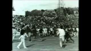 Football Hooligan Documentary [upl. by Gavin]