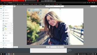 WHat is IPiccy com How to edit phots with Ipiccy com complete detailed video [upl. by Airekahs]