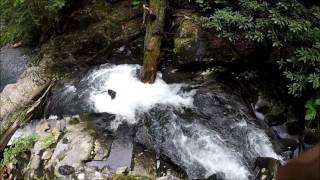 Santeetlah Creek waterfalls in Nantahala National Forest southwestern North Carolina [upl. by Yelsnya624]