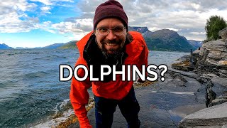 Hydrophones in Norway Underwater Sounds of a Fjord [upl. by Spearman939]