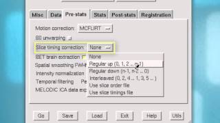 FSL Tutorial 2 FEAT Part 1 [upl. by Eliezer]