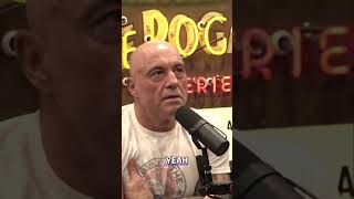 Risks of Speaking Out Joe Rogan Elon Musk joerogan elonmusk unexpected shorts [upl. by Efram108]