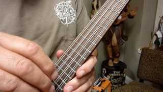 Ohana TK708 Eight String Tenor Ukulele [upl. by Hanikahs]