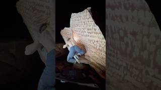 Cirque Du Soleil V3 6A  Calico Basin • Red Rock Bouldering NV [upl. by Ahsad]