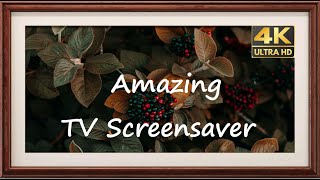 Silent TV Screensaver 4K UHD [upl. by Dobrinsky]