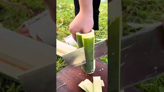 The process of cutting bamboo with a machete [upl. by Thgirw]