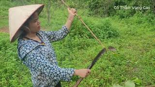 One morning I went to pick pineapples in the countryside and worked on my vegetable garden [upl. by Ianaj]