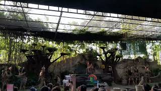 Davao Crocodile Park presents Indigenous Show [upl. by Mighell]