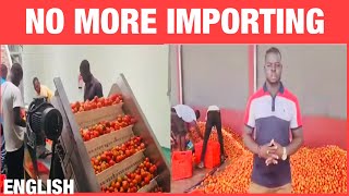 Burkina Faso Tomate Factory  Made In Burkina Faso burkinafaso news [upl. by Ambrosi]