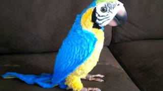 FurReal Parrot Dancing Demonstration amp Instructions [upl. by Aititil]