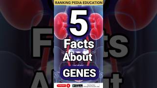 5 Facts about Genes  What are Genes  Functions of Genes genereviewsfactsbiologyfactsaboutgenes [upl. by Aileve949]