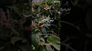 Surah Al rahman with urdu translation surah quran talawat status tiktok 5millonviews capcat [upl. by Jansen]