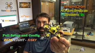 NewBeeDrone AcroBee BeeBrain Brushless V2 Full Setup And Configuration [upl. by Alesandrini]