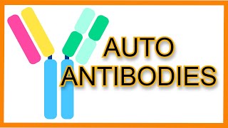 Autoantibodies Rapid Review [upl. by Marbut647]