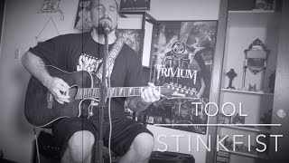 Tool  Stinkfist acoustic cover [upl. by Ynnej]