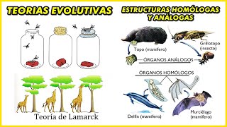 EVOLUCIÓN Generación Espontanea Quimiosintética  Teorías evolucionistas Estructuras Homologas [upl. by Eesac996]