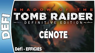 Shadow of The Tomb Raider  CÉNOTE  Défi  EFFIGIES FR PS4 [upl. by Kirstyn]