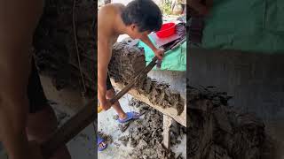 Craftsmen are processing mulberry bark to make paper [upl. by Veneaux]