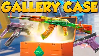 Gallery Case Opening New CS2 Case [upl. by Puttergill]