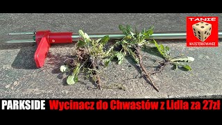 Wycinacz do Chwastów PARKSIDE  Usuwa Wszystko wraz z Korzeniem [upl. by Enattirb]