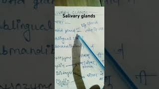 Salivary glands 💯💯biology glandsscience ytshorts viralvideo [upl. by Amme]