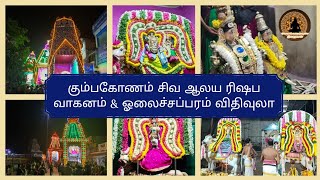 Kumbakonam  Masi Magam  Day 5 Shiva Temples Rishpa Vahanam amp Olaichaparam  Lord Almighty Tamil [upl. by Corey]