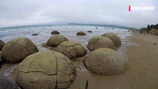 Moeraki Boulders  New Zealand [upl. by Nisse]