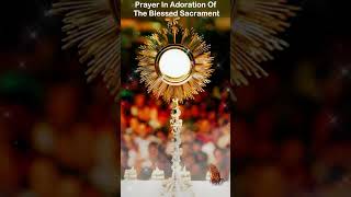 Prayer in Adoration of the Blessed Sacrament [upl. by Wolfy631]