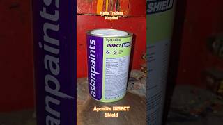 Apcolite INSECT Shield Enamel asianpaint reels diy painting enamel youtube shorts trending [upl. by Sollars]