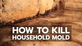 How to Kill Household Mold [upl. by Weaver161]