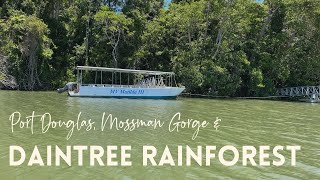 Cairns to Daintree Rainforest  Daintree River Cruise Port Douglas amp Mossman Gorge [upl. by Ibrek]