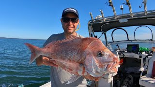 Westernport Snapper October ‘24 How to All About Fishing [upl. by Edveh]