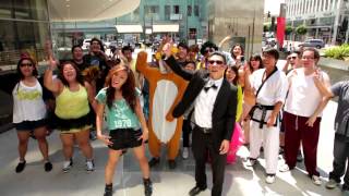 K1 KTOWN STYLE  PSY  Gangnam Style  강남스타일 Parody [upl. by Psyche]